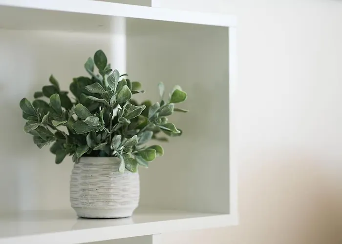 Stylish Beachfront Escape . Steps To . Wifi