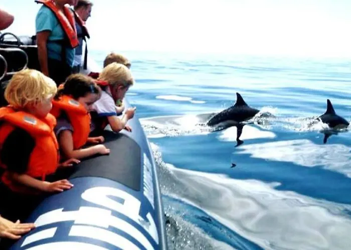 Apartament Stylish Beachfront Escape . Steps To . Wifi *