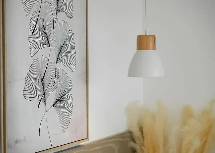 Stylish Beachfront Escape . Steps To . Wifi