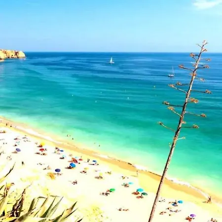 Stylish Beachfront Escape . Steps To . Wifi 波尔蒂芒